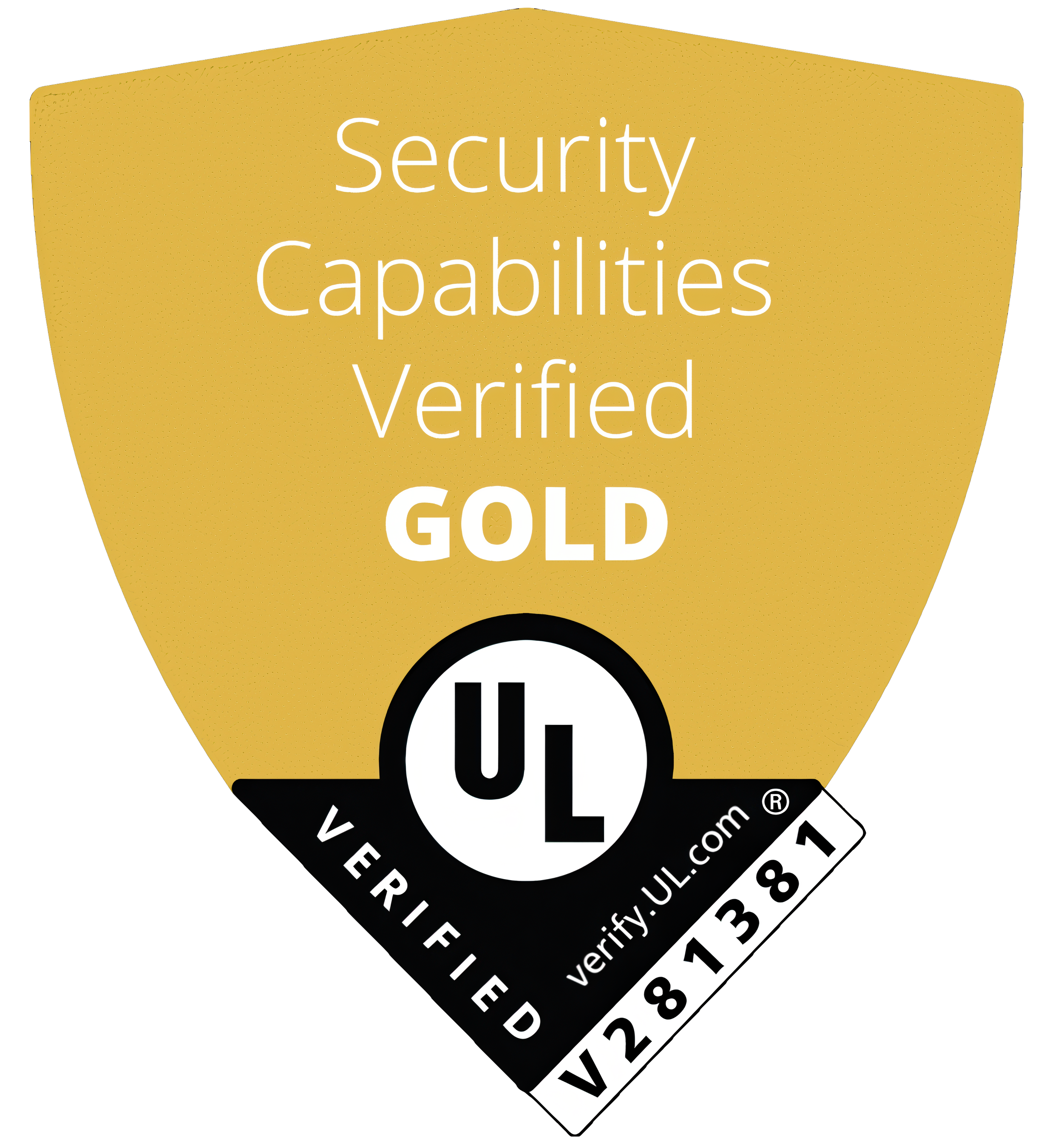 Security Icon